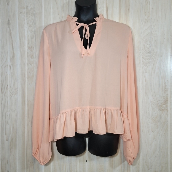 A Dip of Darling Soft Peach Long Sleeve Blouse Top Sz XXL - Picture 1 of 5